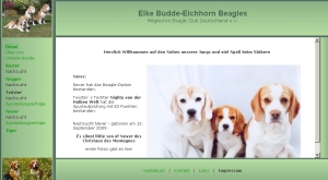 Budde-Beagles